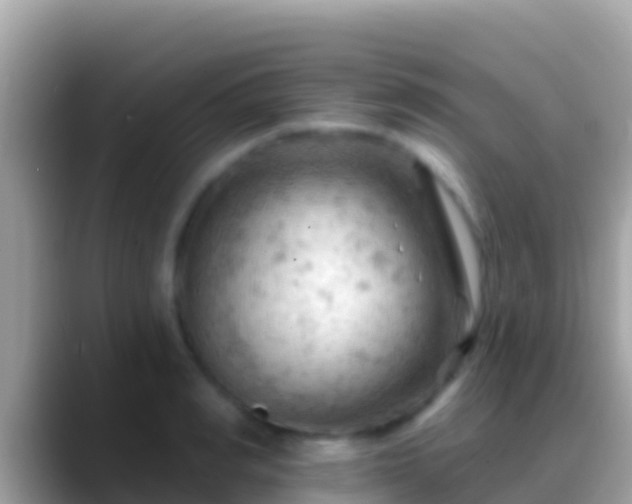 X0000088650990200706011218
