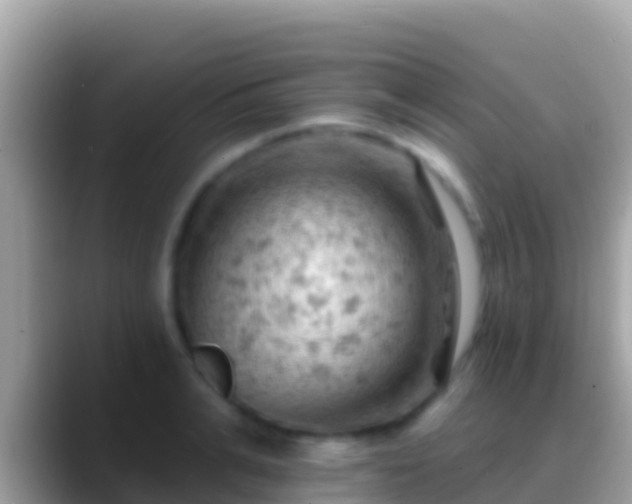 X0000088650991200706011218