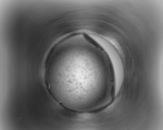X0000088650992200706011218
