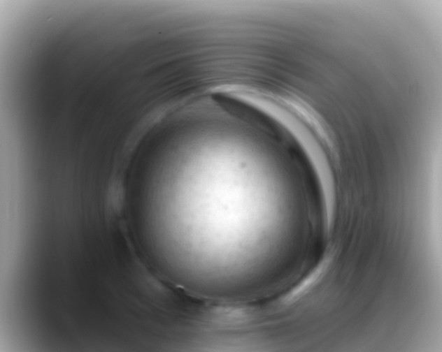 X0000088650993200706011218