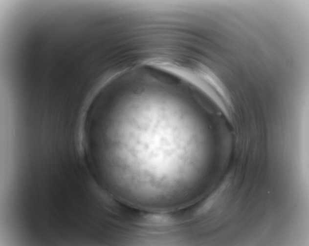 X0000088650994200706011218
