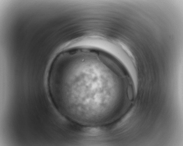 X0000088650995200706011218