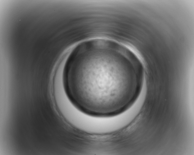 X0000088650996200706011218