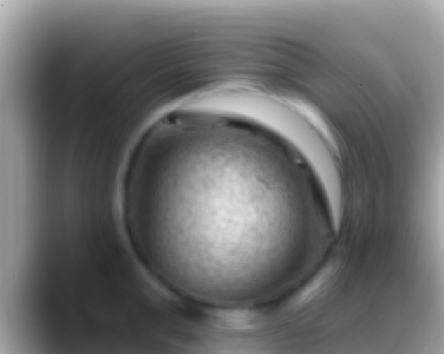 X0000088650999200706011218