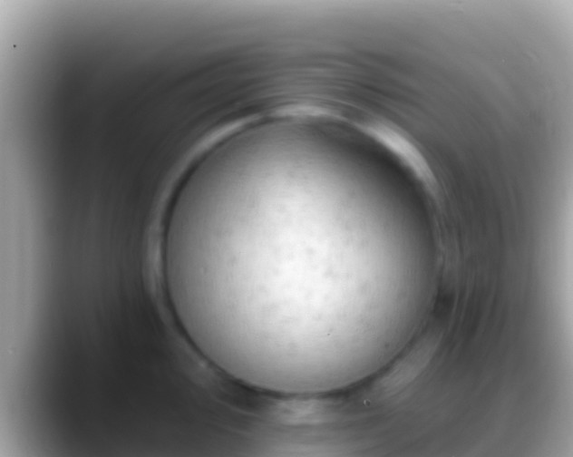 X0000088651000200706011218