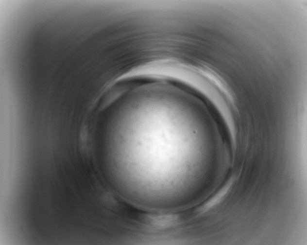 X0000088651001200706011218
