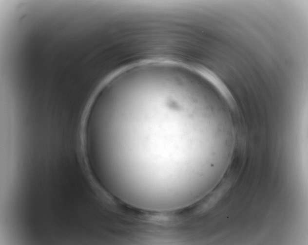 X0000088651004200706011218