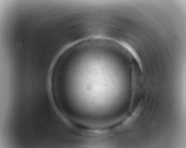 X0000088651005200706011218