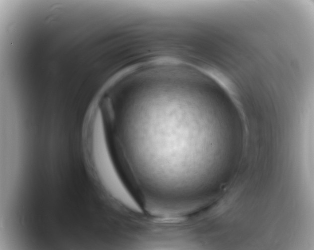 X0000088651008200706011217