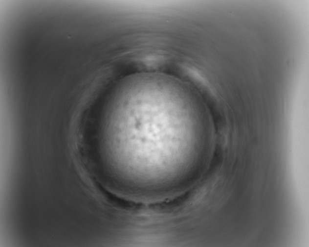 X0000088651009200706011217