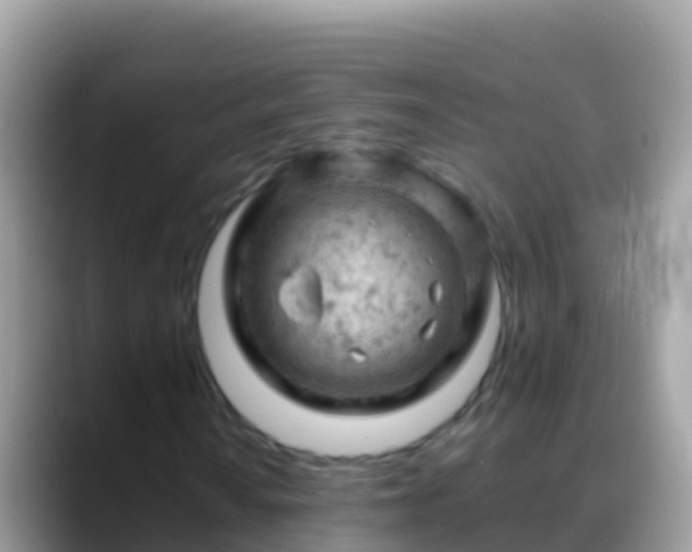 X0000088651010200706011217