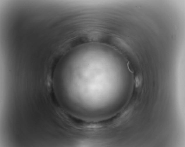 X0000088651011200706011217