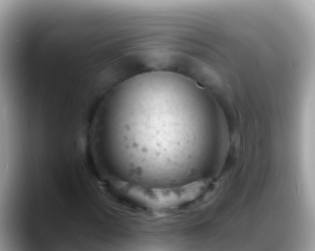 X0000088651012200706011217