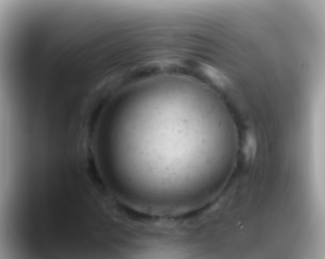 X0000088651014200706011217