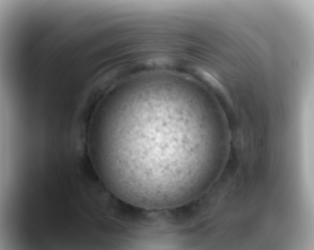 X0000088651015200706011217
