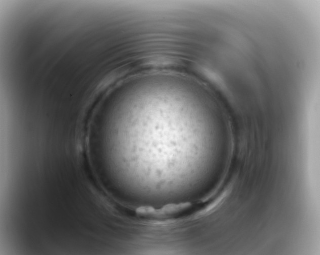 X0000088651017200706011217