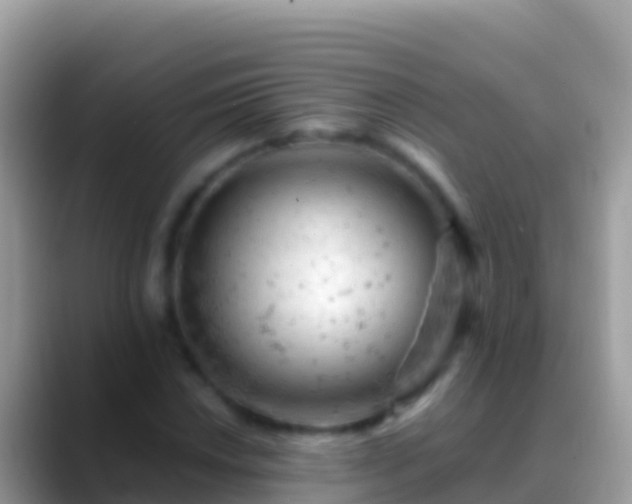 X0000088651018200706011217