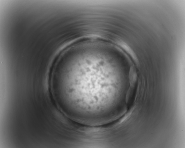 X0000088651020200706011217
