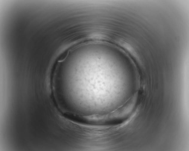 X0000088651022200706011217