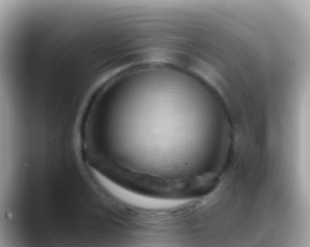 X0000088651024200706011217