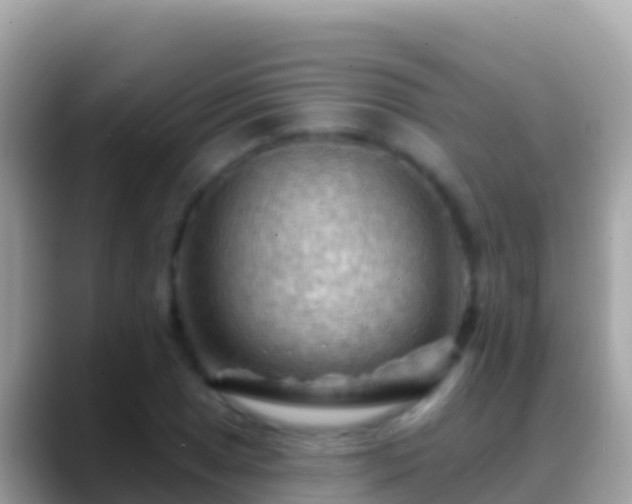 X0000088651025200706011217