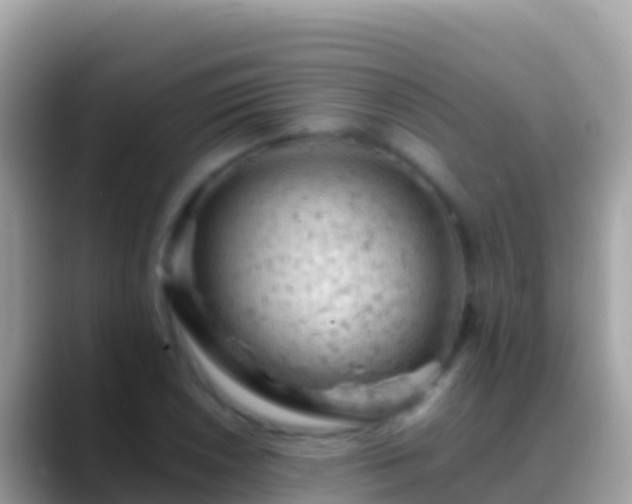 X0000088651026200706011217