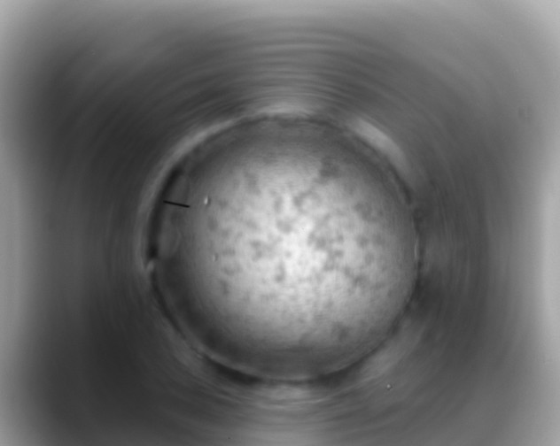 X0000088651027200706011217