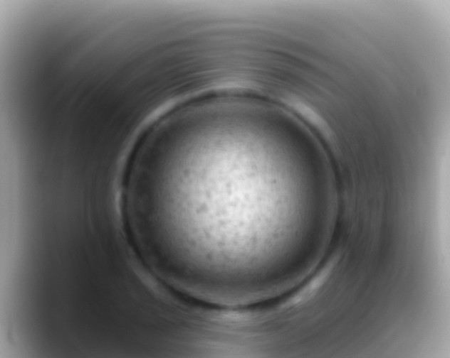 X0000088651029200706011217