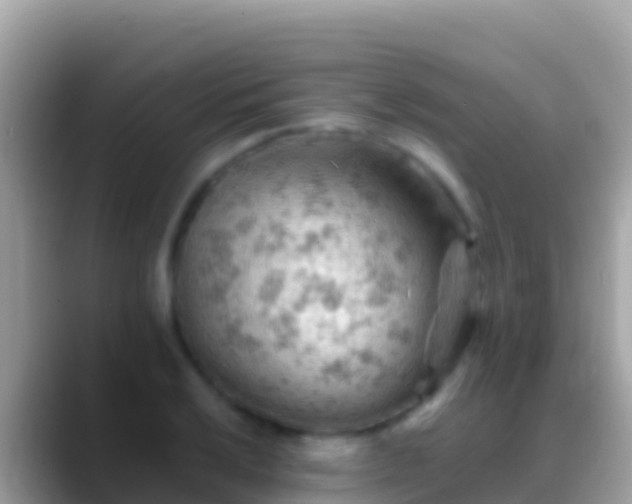 X0000088651032200706011217