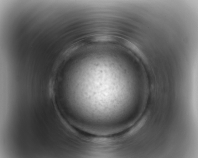 X0000088651033200706011217