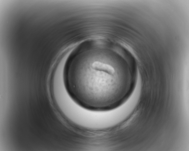 X0000088651034200706011217