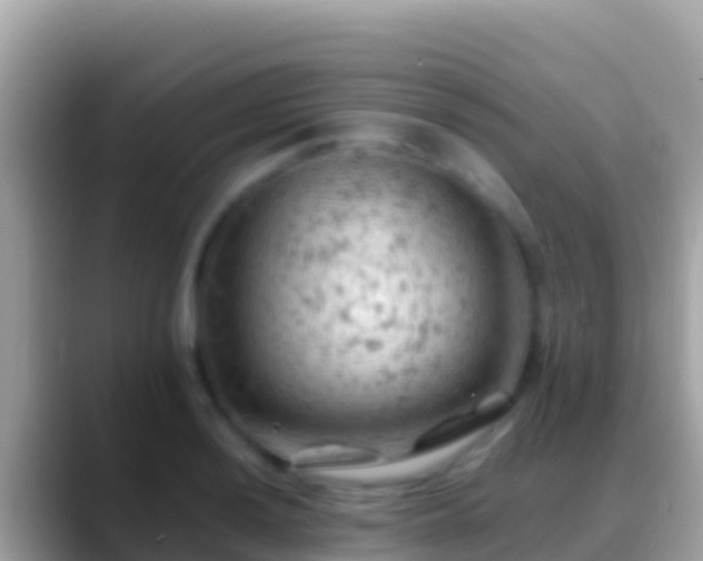 X0000088651036200706011217