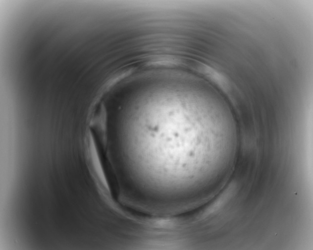X0000088651041200706011217