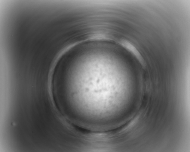 X0000088651043200706011217
