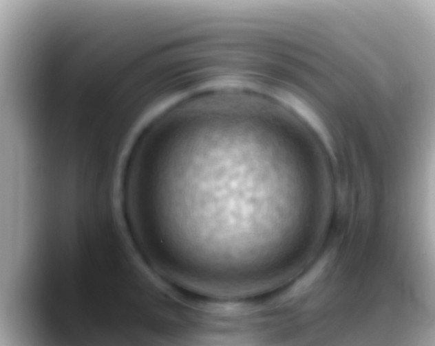 X0000088651045200706011217