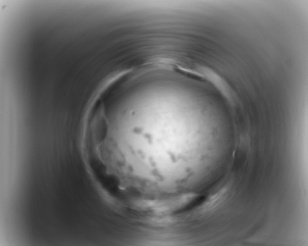 X0000088651050200706011217