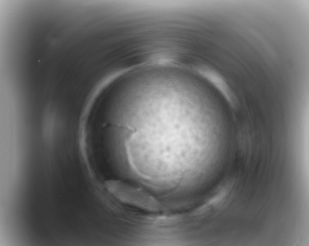 X0000088651051200706011217