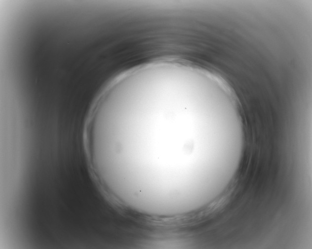 X0000088651054200706011217