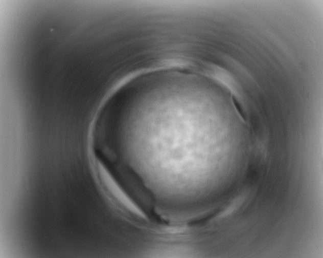 X0000088651055200706011217