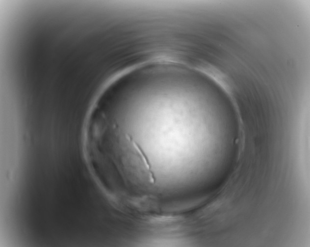 X0000088651056200706011217