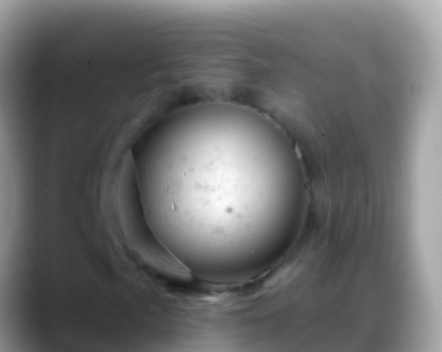 X0000088651057200706011217
