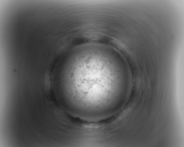 X0000088651058200706011217
