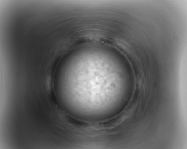 X0000088651060200706011217