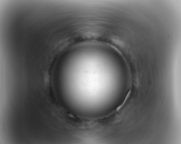 X0000088651061200706011217