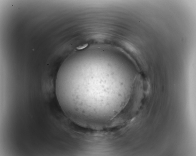 X0000088651062200706011217