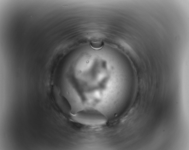 X0000088651063200706011217