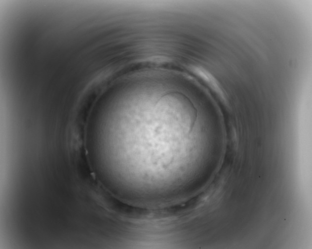 X0000088651064200706011217