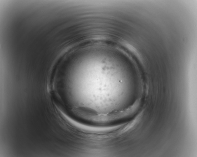 X0000088651065200706011217
