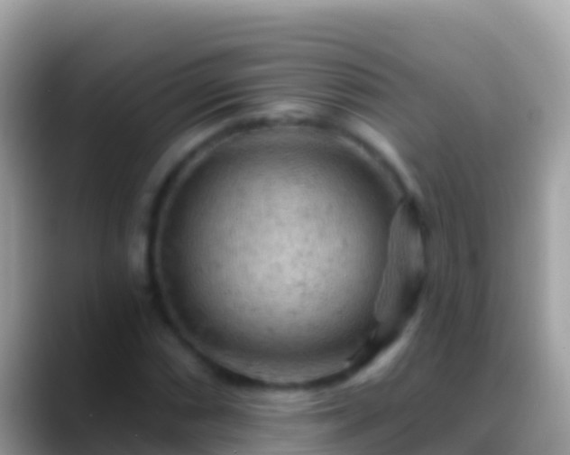 X0000088651066200706011217