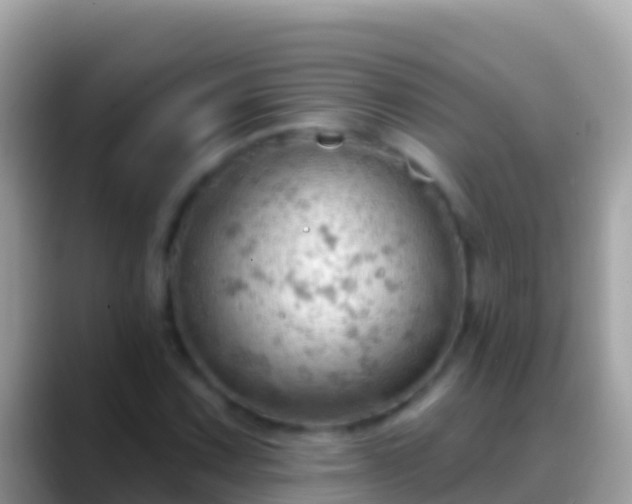 X0000088651067200706011217